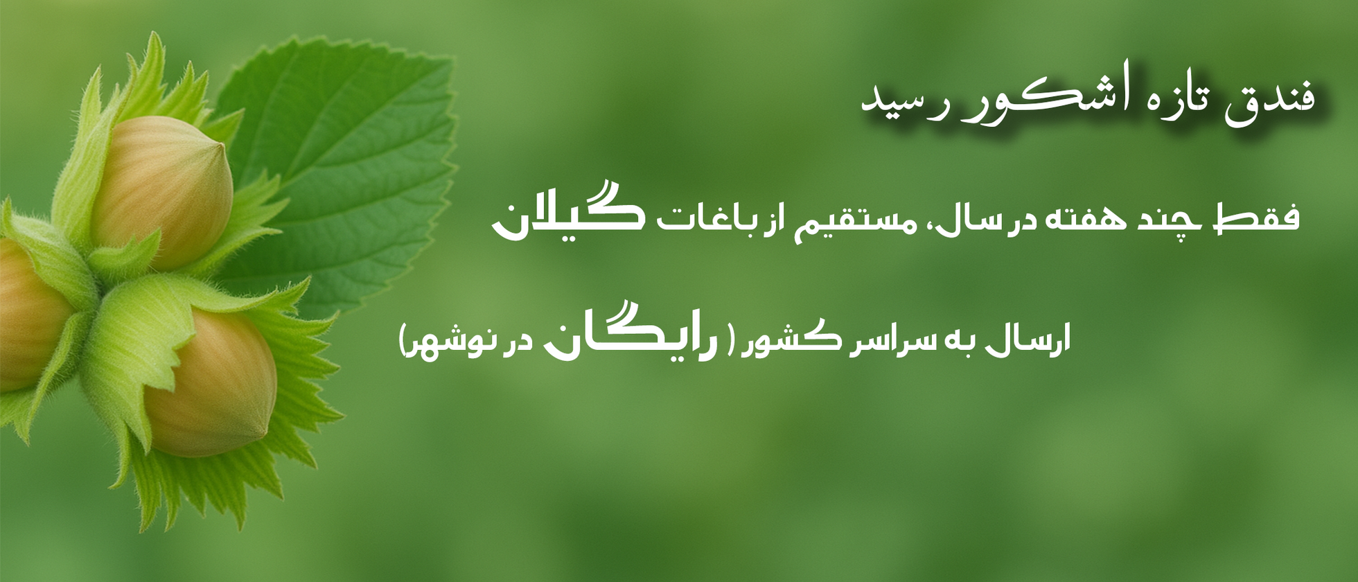 2 بنر فروشگاه