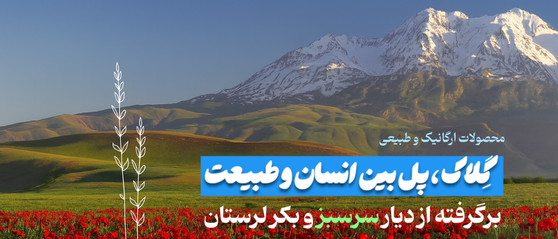 1 بنر فروشگاه