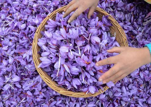 1 بنر فروشگاه