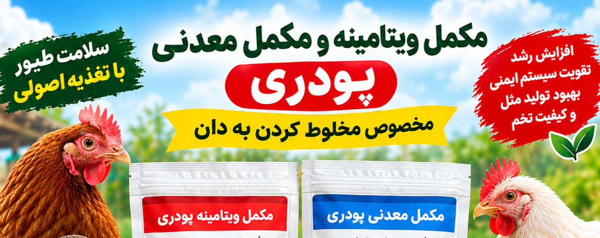بنر