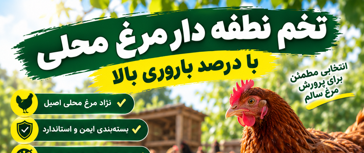 بنر