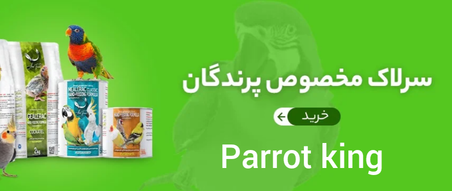 5 بنر فروشگاه