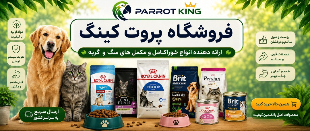 5 بنر فروشگاه