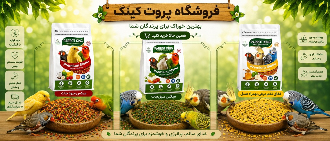 2 بنر فروشگاه
