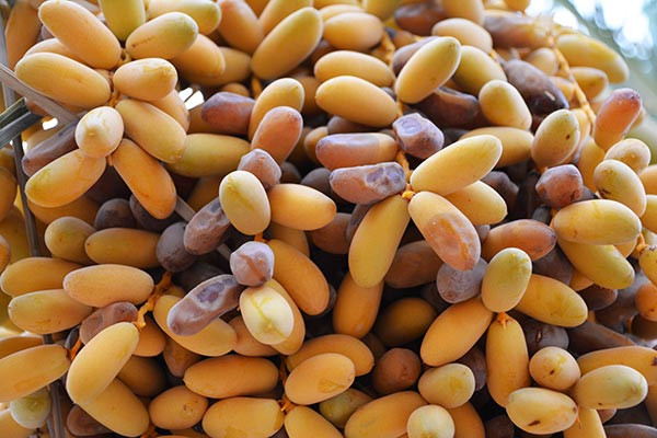 3 بنر فروشگاه