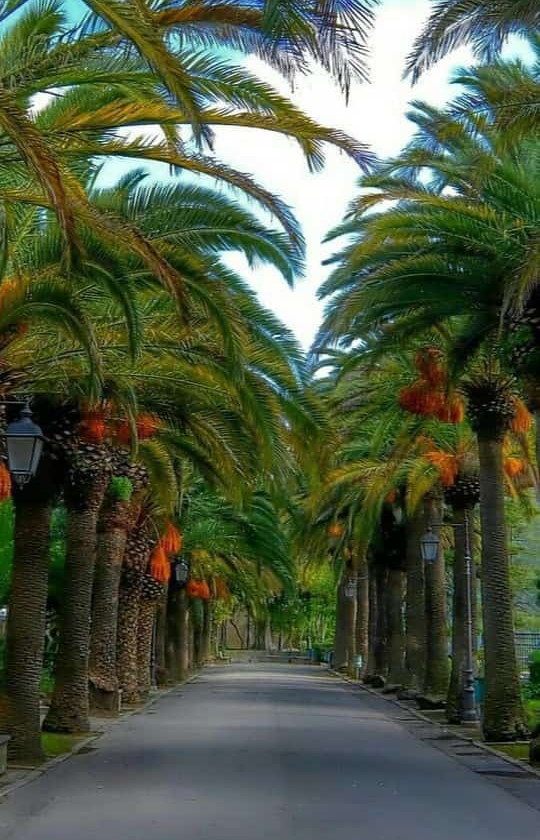 4 بنر فروشگاه