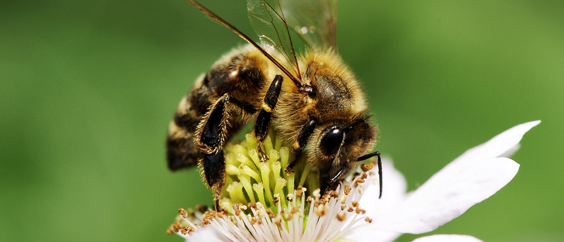 2 بنر فروشگاه