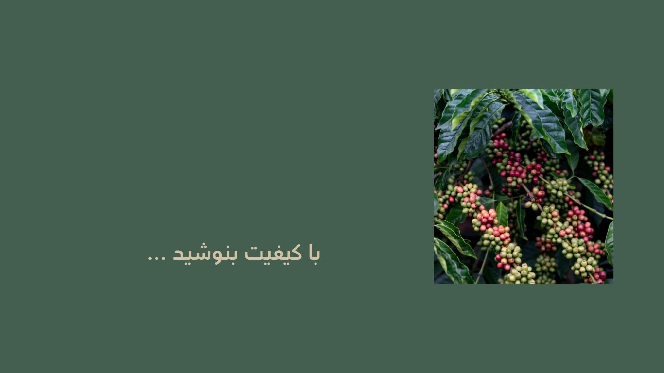 بنر