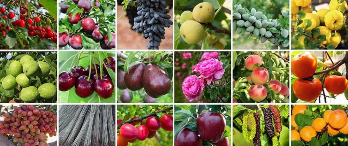 1 بنر فروشگاه