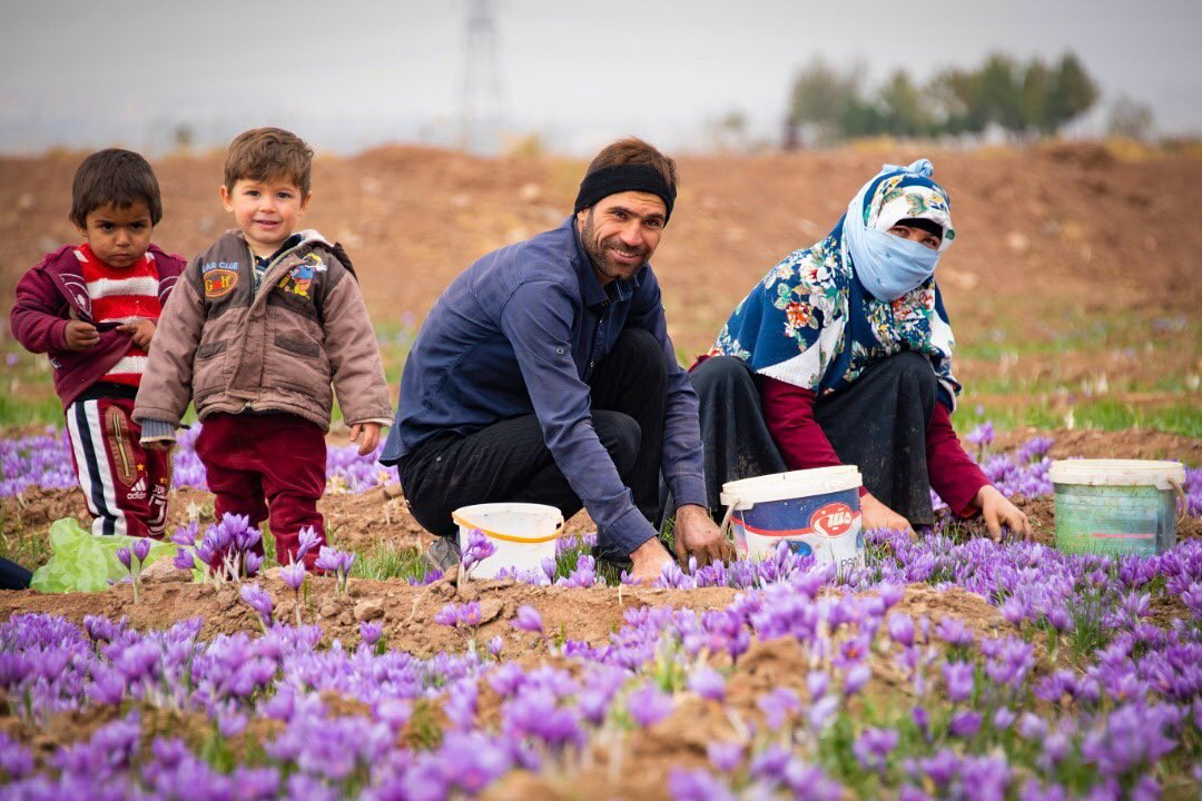 1 بنر فروشگاه