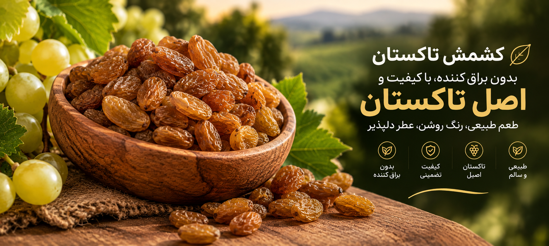 3 بنر فروشگاه