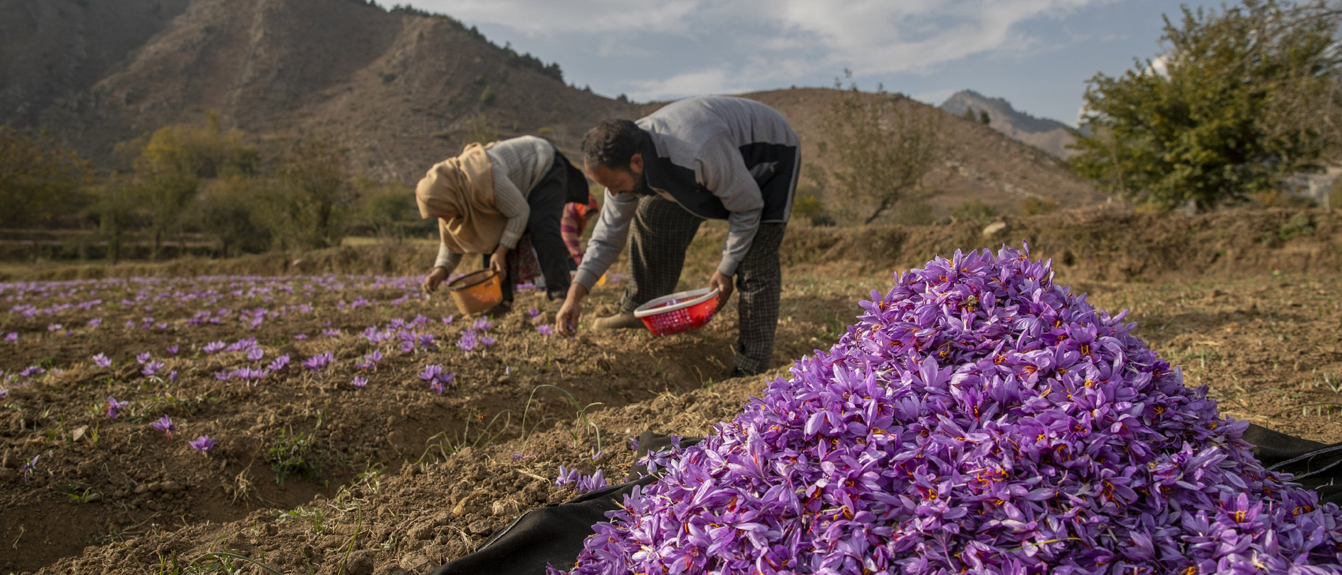 4 بنر فروشگاه