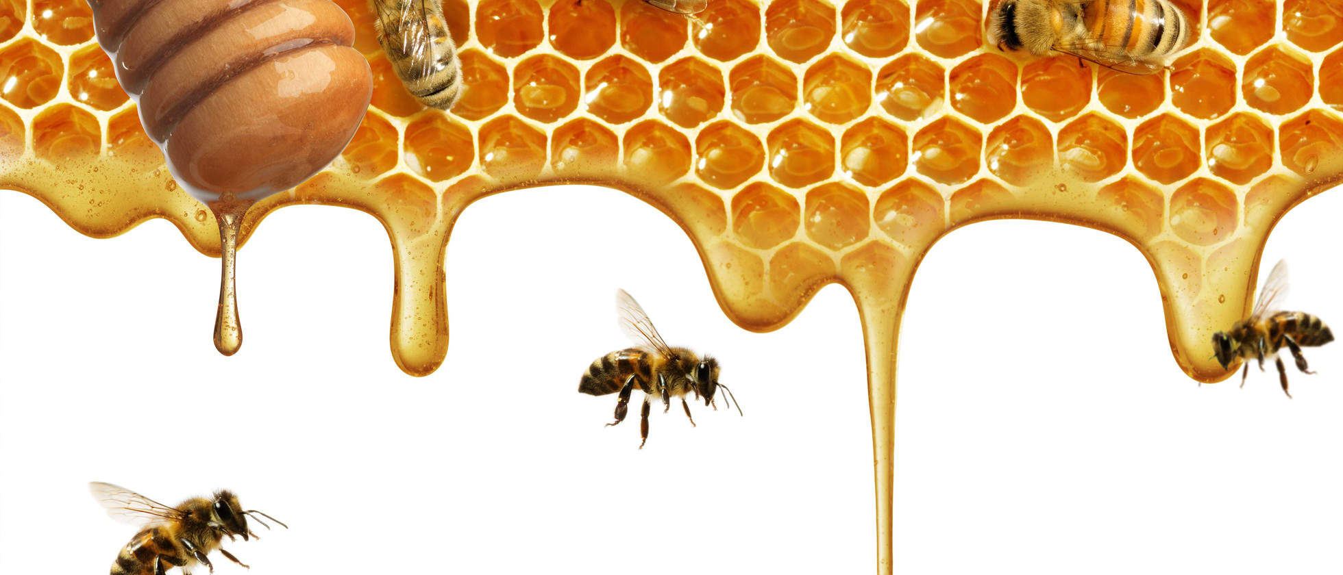 1 بنر فروشگاه