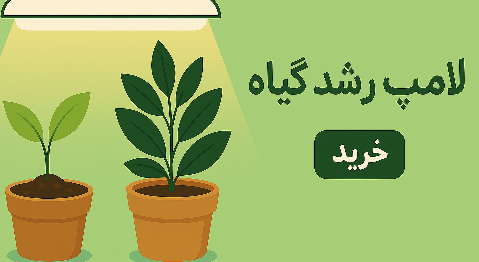 2 بنر فروشگاه