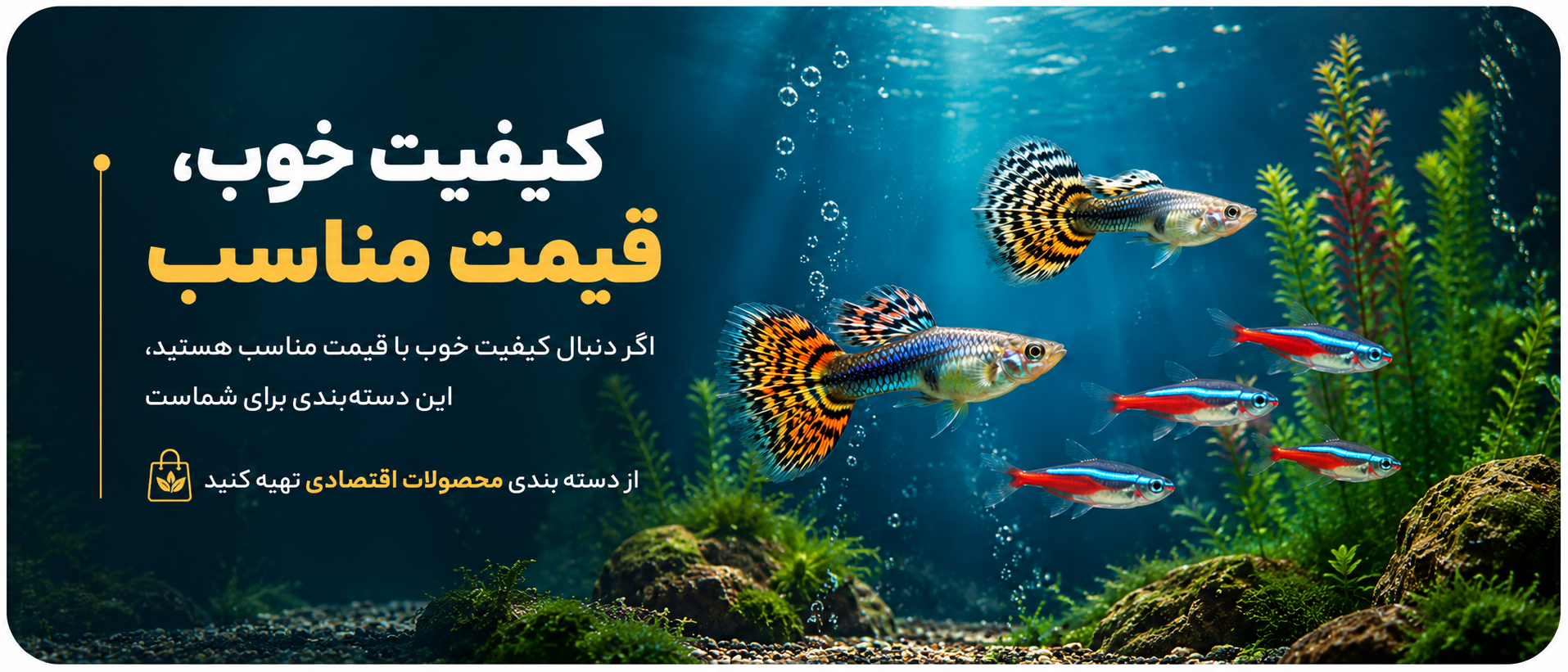 4 بنر فروشگاه