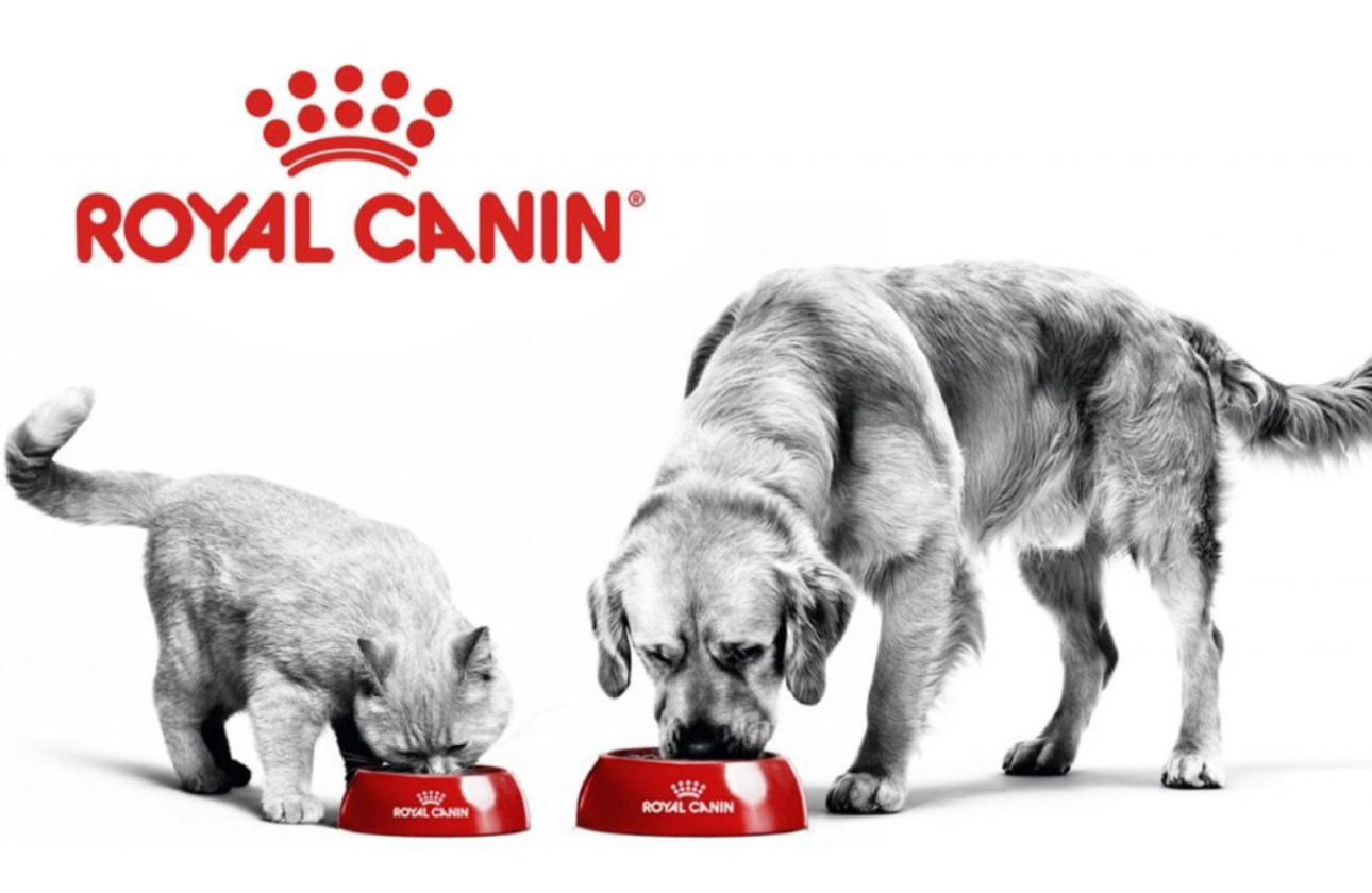 2 بنر فروشگاه