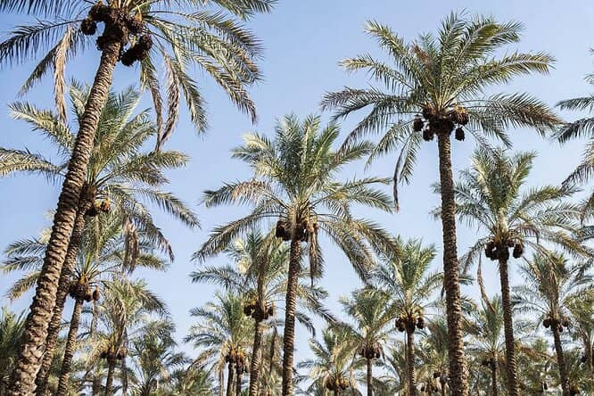 4 بنر فروشگاه