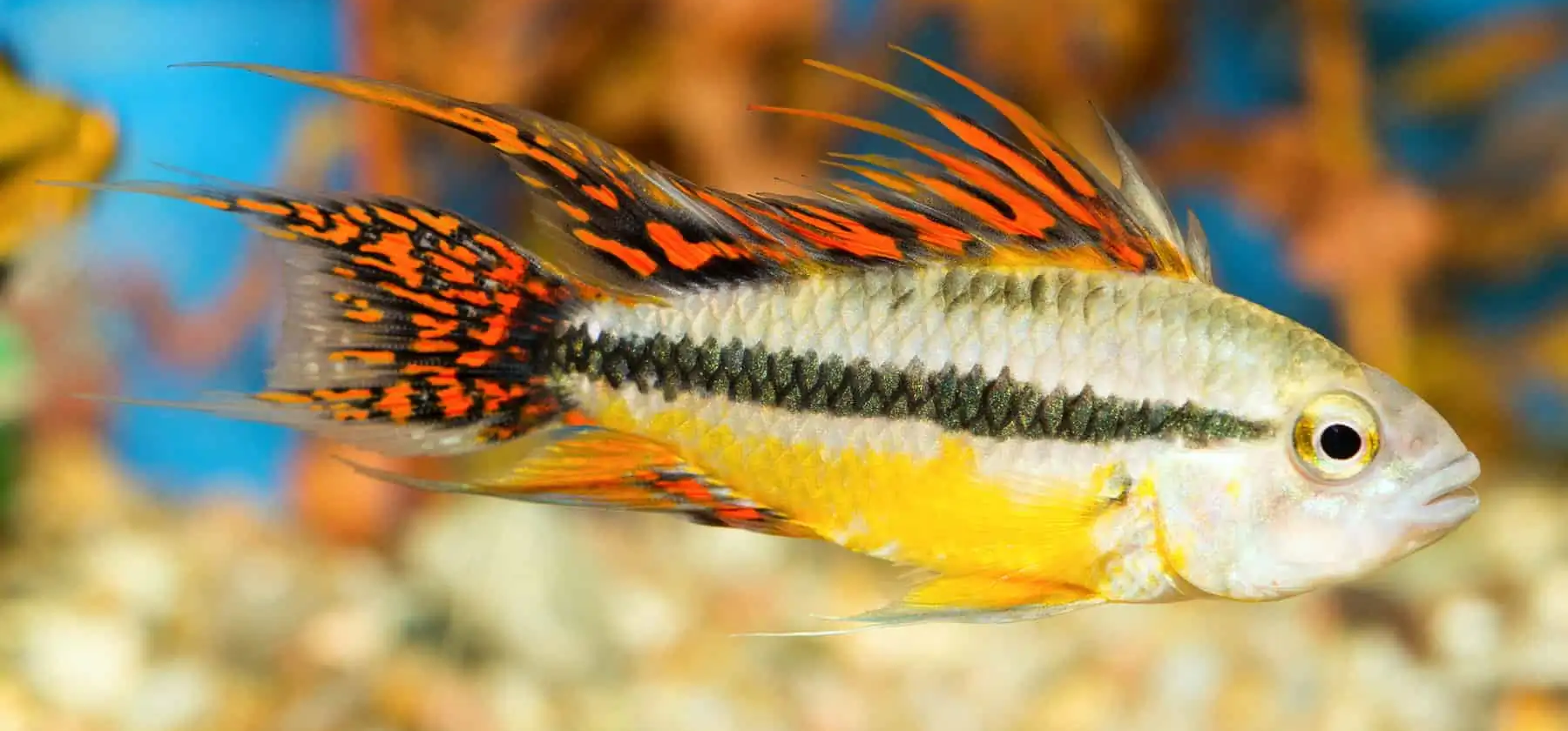 2 بنر فروشگاه