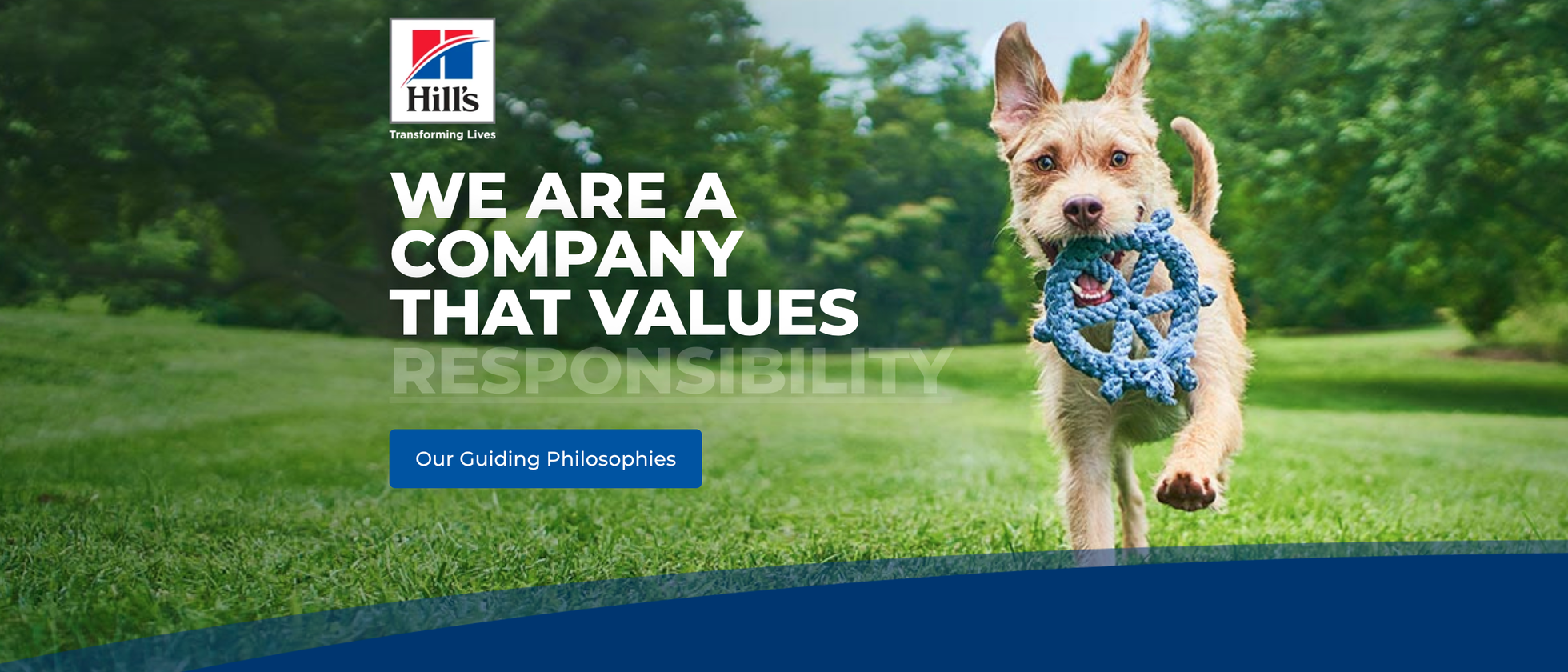 1 بنر فروشگاه