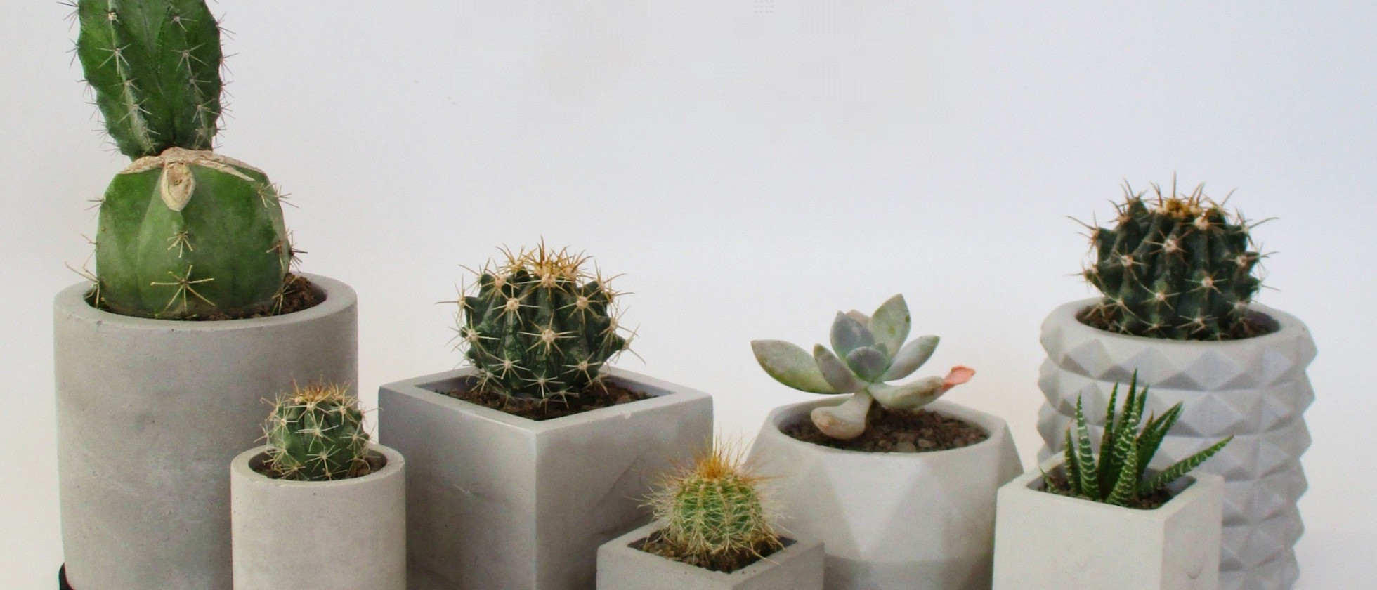 2 بنر فروشگاه