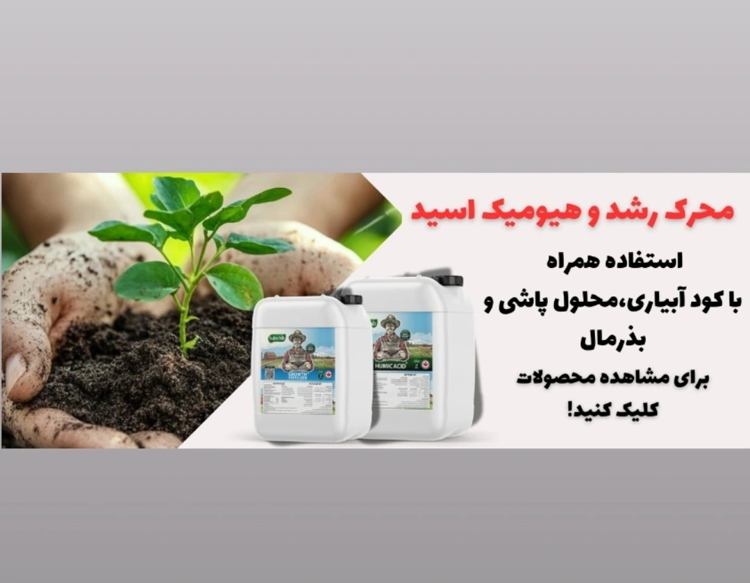 2 بنر فروشگاه