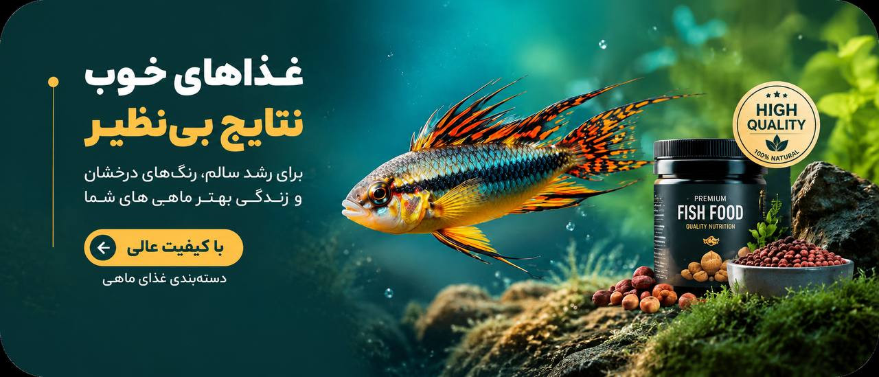 2 بنر فروشگاه