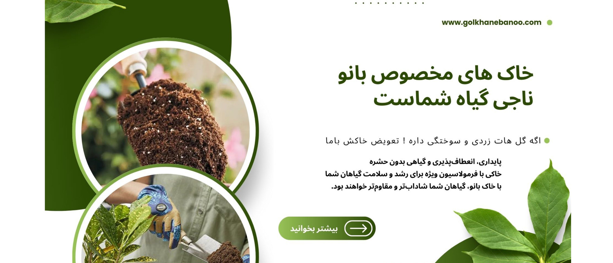 2 بنر فروشگاه