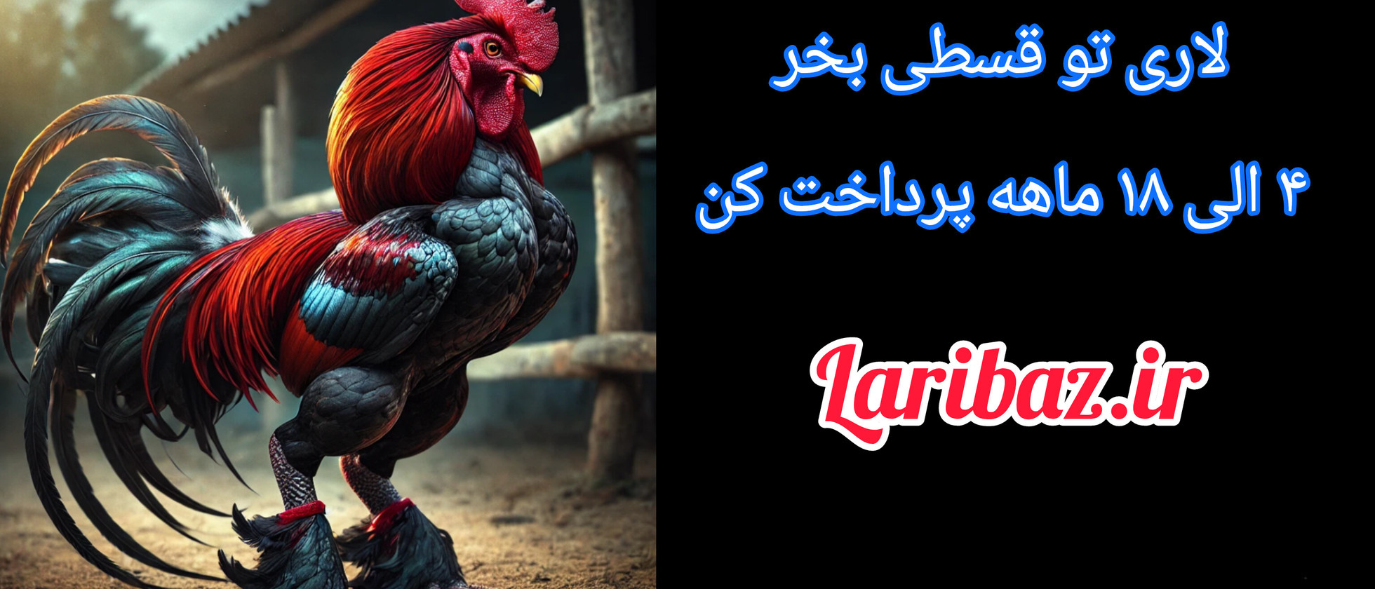 1 بنر فروشگاه