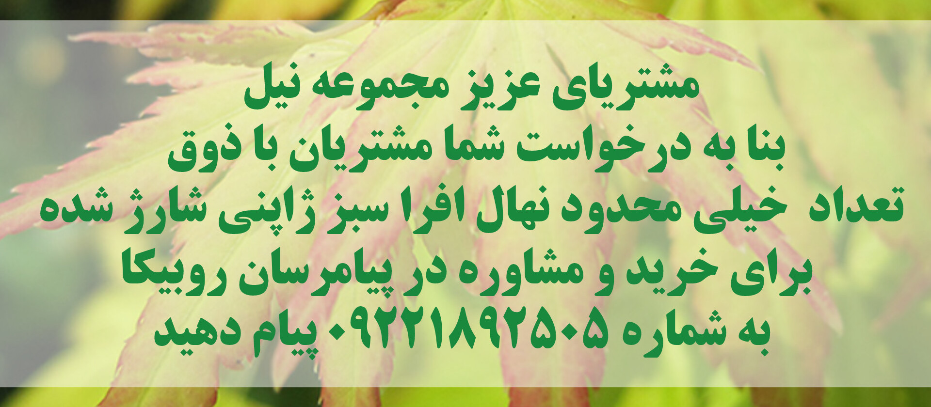 بنر