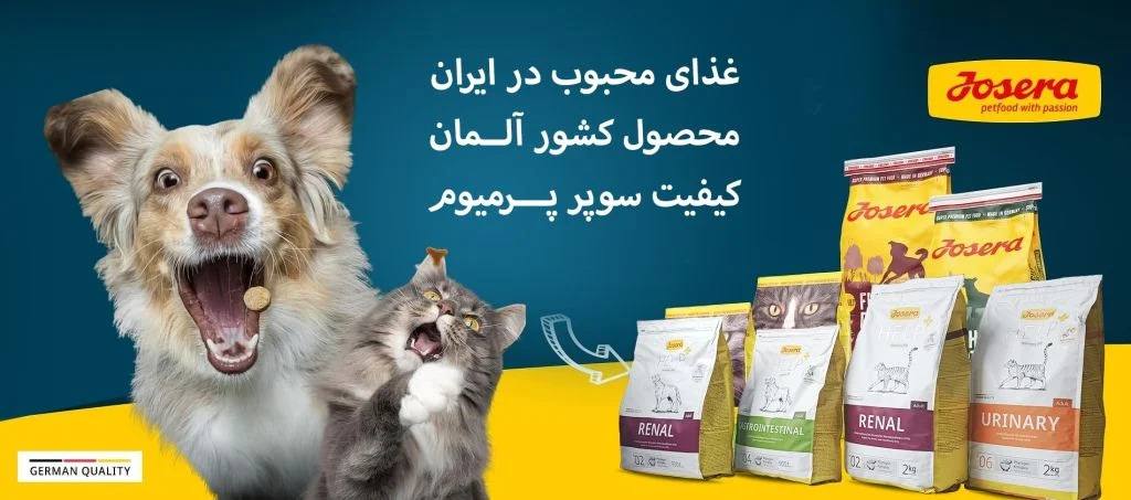 2 بنر فروشگاه