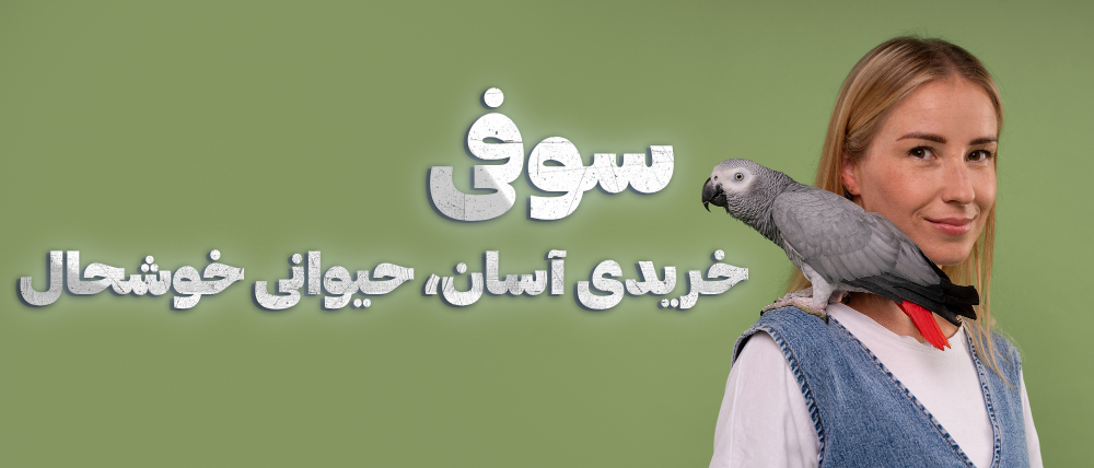 3 بنر فروشگاه