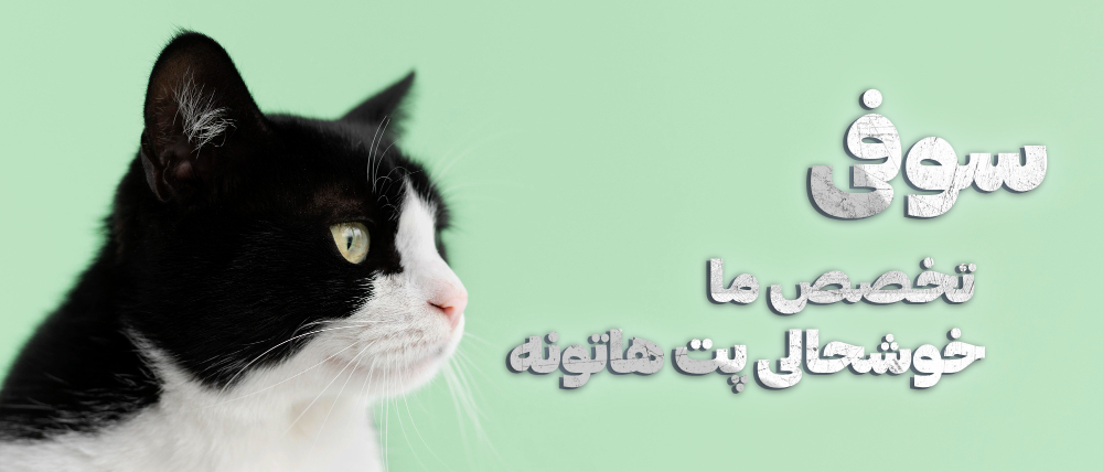 2 بنر فروشگاه