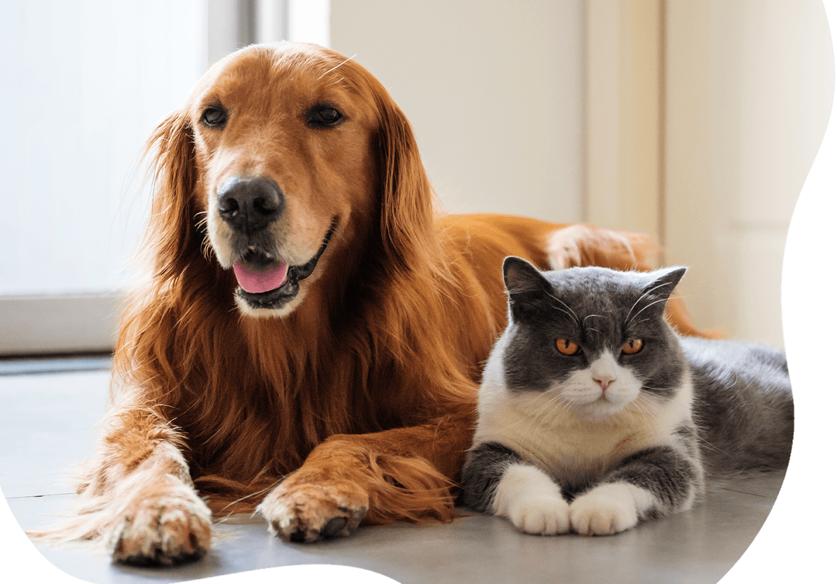 2 بنر فروشگاه