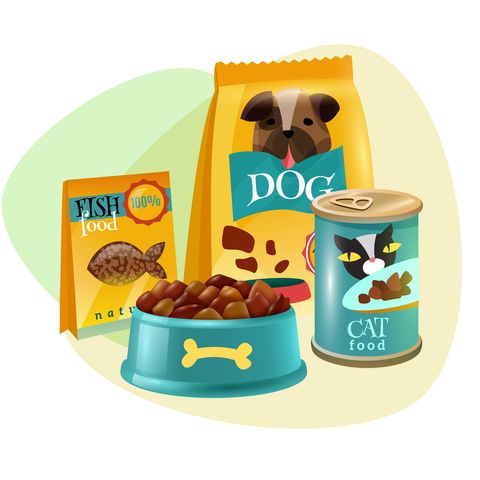 ظرف آب و غذا