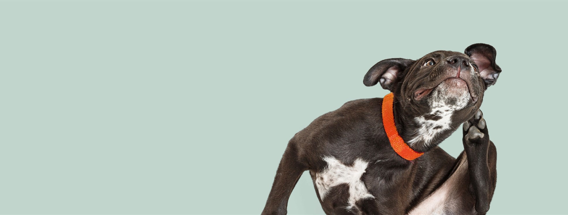 2 بنر فروشگاه