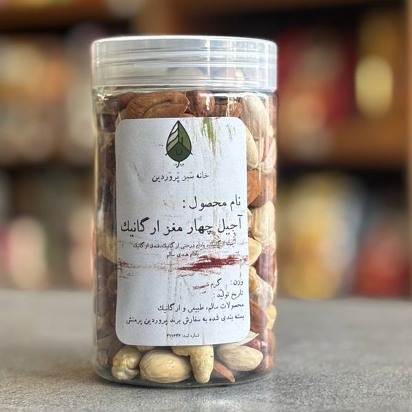 آجیل چهار مغز خام ارگانیک 250 گرم