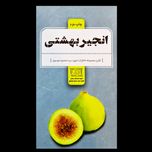 کتاب انجیر بهشتی (زندگی نامه شهید سید محمود موسوی)