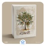 کتاب اینجا بدون تو (شهید بلباسی به روایت همسر)