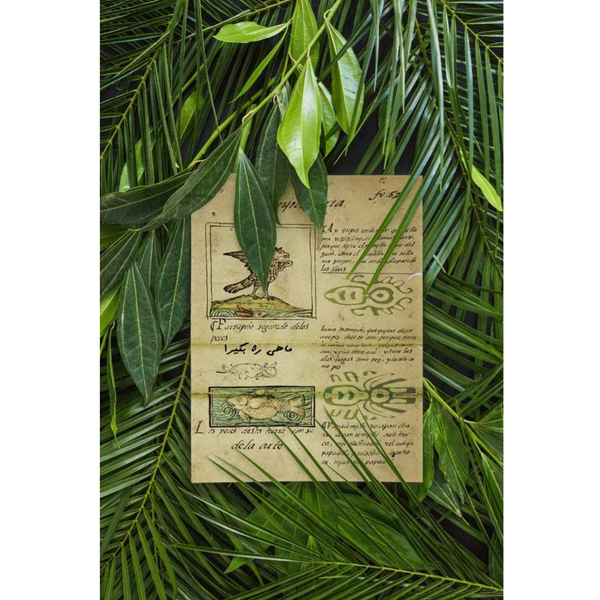 بازی پرونده معبد آزتک ها