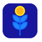 التیما استور