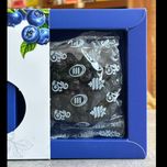 بلوبری خشک 111 -100 گرمی
