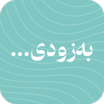 براش سیلیکونی