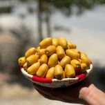 پک 5 کیلویی خارک حاج باقری بوشهر