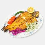 خوراک ماهی قزل