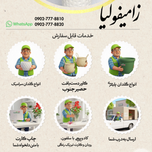 زامیفولیا سبز