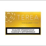 ترا زرد ارمنی Terea Yellow