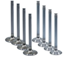 سوپاپ 206 تیپ 2 ایساکو