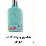 شامپو سر جوانه گندم و Q10 تراست 250 میلی لیتر