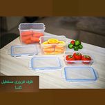 ظرف فریزری مستطیل 800 میلی‌لیتر تکسا مدل Smart Fresh Mini