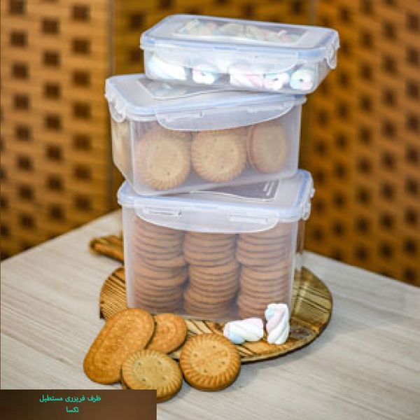 ظرف فریزری مستطیل 800 میلی‌لیتر تکسا مدل Smart Fresh Mini